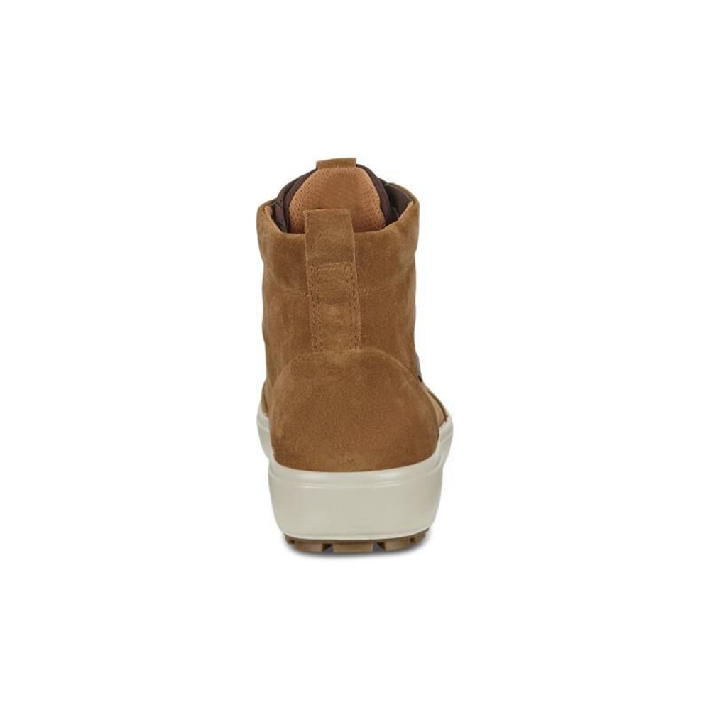 Botas Hombre - ECCO Soft 7 Tred Gtx Altos - Marrom - XQE516278